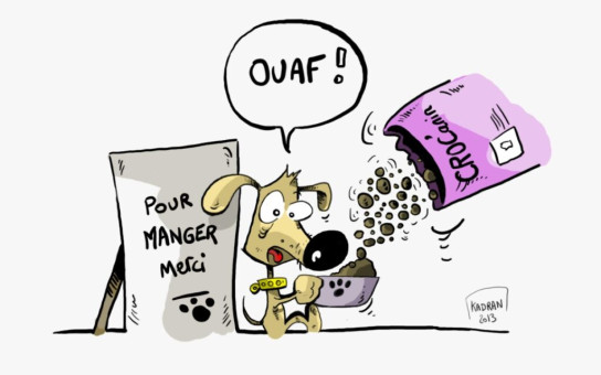 Faites vos dons ! Ouaf ! Evénement caricatures pour animaux uniquement !